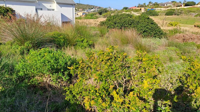 0 Bedroom Property for Sale in Stilbaai Wes Western Cape